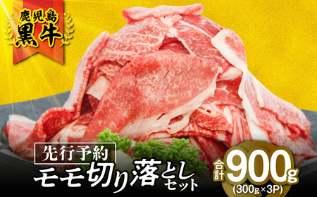 i J-1901 j ؂藎Ƃ Zbgi v900g j KN009-014   јa a    ؗ Ă ₫   Sa\͋i DG tb {