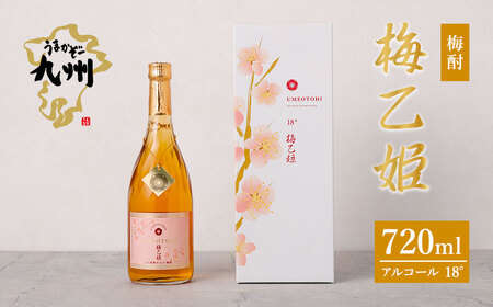うまかぞー九州 本格梅酒 梅乙姫 720ml 梅酒 KN163-002 酒 アルコール プレミアム梅酒 小鹿酒造 welzo ふるさと納税 鹿児島 鹿屋市 おすすめ ランキング プレゼント ギフト