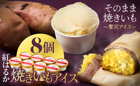 紅はるか 焼きいも アイス( 8個入り ) KN046-010 国産 焼き芋 スイーツ マーケティングビー ふるさと納税 鹿児島 鹿屋市 おすすめ ランキング プレゼント ギフト