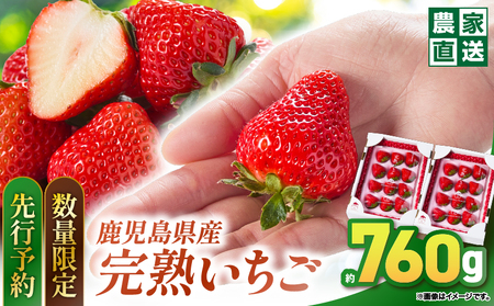 2692 y \t z y ʌ z Y  y ÐF z 8`24×2 i i F ق̂ / ݂̂ j KN103-001-02 C`S  n t[c ʕ ʎ  s\ \ fU[g