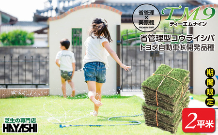 TM9（ティーエムナイン）省管理型コウライシバ トヨタ自動車(株)開発品種 2平米 KN080-007-02 芝生 お庭づくり