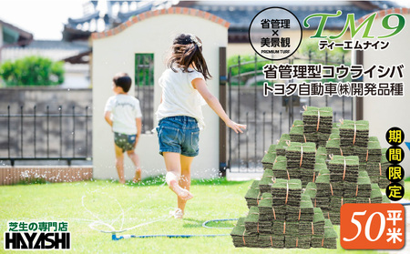 ( ティーエムナイン ) 省管理型コウライシバ トヨタ自動車(株) 開発品種 50平米 KN080-007-05 芝生 芝 庭 お庭づくり 高品質 新鮮 期間限定 限定 美景観 省管理 お手入れ楽 美しい ハヤシ ふるさと納税 鹿児島 鹿屋市 おすすめ ランキング プレゼント ギフト