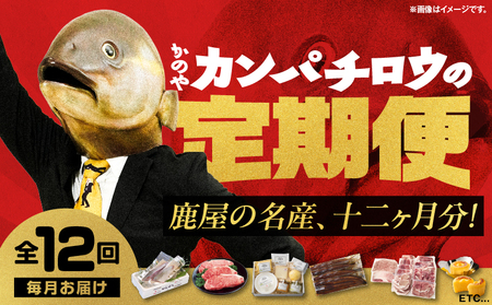 [ 全12回 ] 鹿屋 カンパチロウ便 KN000-T08 カンパチ 刺身 魚 チーズ 牛 黒毛和牛 サーロイン ステーキ シャトーブリアン フェスティバロ 唐芋レアケーキ 豚 しゃぶしゃぶ ハム ソーセージ さかし豚 うなぎ 鰻 蒲焼 マンゴー フルーツ 果物 ロース 鶏 もも すき焼き セット 詰合せ 惣菜 スイーツ 菓子 定期便 ふるさと納税 鹿児島 鹿屋市 おすすめ ランキング プレゼント ギフト