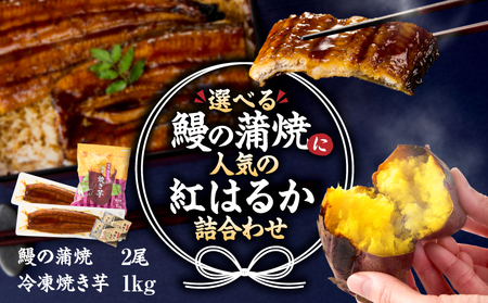 クラウドファンディングで応援! 鰻の蒲焼 に人気の 紅はるか 詰め合わせ 2尾 + 冷凍焼き芋 1kg KN026-021-02 うなぎ ウナギ 鰻 まがりうなぎ 規格外 蒲焼 さつまいも サツマイモ 焼き芋 やきいも 冷凍 野菜 菓子 クラウドファンディング ふるさと納税3.0 オキス ふるさと納税 鹿児島 鹿屋市 おすすめ ランキング プレゼント ギフト