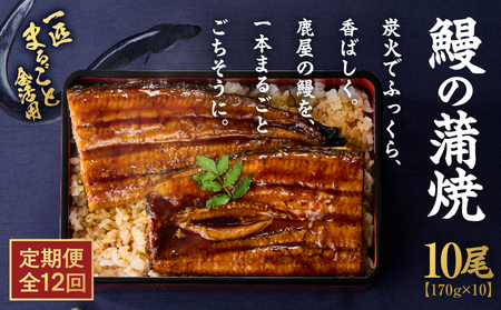 【 全12回 定期便 】 鰻 の 蒲焼 10尾（170g×10） KN026-T11 うなぎ 惣菜 総菜 魚