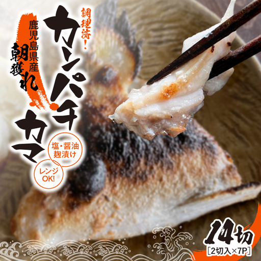 調理済み ！ カンパチ カマ塩 ・ 醤油麹 （ こうじ ） 漬け 14切 （ 焼 タイプ ） KN037-002-05 魚 麹漬け