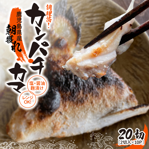 調理済み ！ カンパチ カマ塩 ・ 醤油麹 （ こうじ ） 漬け 20切 （ 焼 タイプ ） KN037-002-06 魚 麹漬け