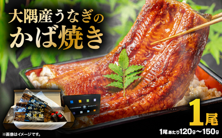 大隅産 うなぎ の かば焼き 1尾 KN174-001-01 ウナギ 鰻 蒲焼き 冷凍