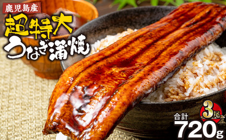 【 土用の丑の日特集 】 鹿児島産 超特大 うなぎ 蒲焼 240g×3尾 KN021-042-03 鰻 ウナギ 冷凍