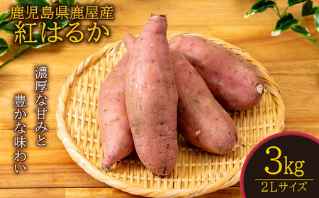 鹿児島県 鹿屋産 紅はるか 生芋 2Lサイズ 3kg KN021-043-01 野菜 芋 さつまいも 菓子