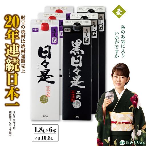 芋焼酎 紙パック 6本『日々是（芋）』『黒日々是（芋）』温泉水仕立ての焼酎 KN021-005-03 酒 アルコール