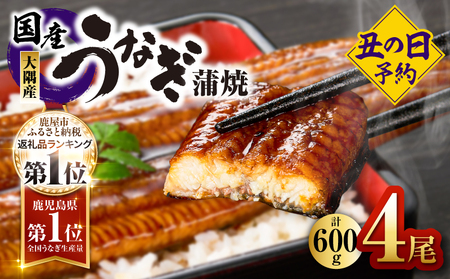 【 期間限定 】2869  【 2026年 土用の丑の日 先行予約 】 鹿児島県 大隅産 うなぎ蒲焼 4尾 （ 600g ） KN007-004-01 魚 鰻