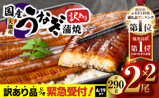 【 期間限定 4/19まで（賞味期限 5/24まで）】【 10営業日以内に発送 】【 訳あり 】鹿児島県大隅産うなぎ蒲焼2尾（290g）×2セット KN110-002-MC 期間限定 鰻 魚 スピード配送 スピード発送 最短 すぐ届く お急ぎ 最短10営業日