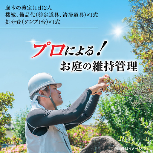 プロによる!お庭の維持管理 KN177-001 庭 維持管理