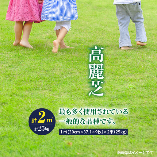 [10月から5月に発送] 高麗芝(2平方メートル) KN177-003-01 庭 芝生
