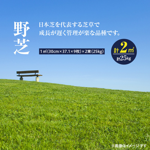 [10月から5月に発送] 野芝(2平方メートル) KN177-005-01 庭 芝生