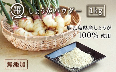 野菜100%パウダー しょうが(鹿児島産) 1kg 1264