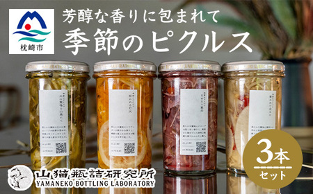 枕崎産かつお節と地元野菜の ピクルス 3種セット〜芳醇な香りに包まれて〜 A8-60_惣菜・加工品 缶詰・瓶詰 _[配送不可地域:離島]