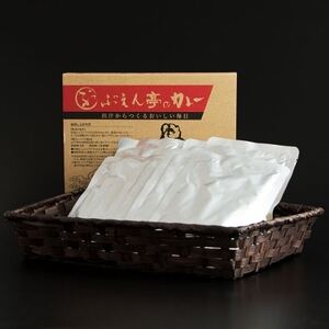 枕崎 ぶえん亭 だしカレーセット 10食分 和だしカレー あごだしカレー 2種類 A8-25_惣菜・加工品 カレー _[配送不可地域:離島]
