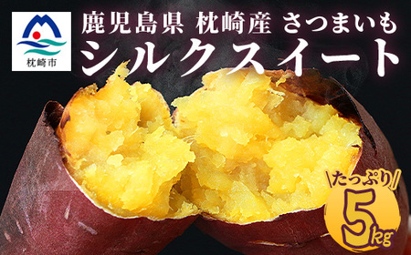 シルクスイート [5キロ] サツマイモ さつまいも 鹿児島県 A3-346_野菜 さつまいも いも サツマイモ 薩摩芋 野菜 いも イモ 芋_[配送不可地域:離島]