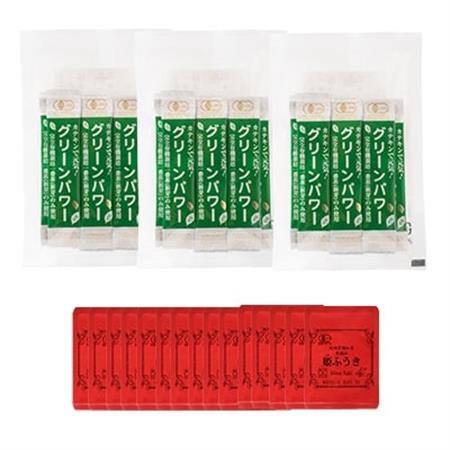 手摘み有機紅茶『姫ふうき』&有機栽培粉末緑茶「グリーンパワー」詰め合わせ[合計45P] A3-276_飲料・ドリンク 茶葉・ティーバッグ 茶 飲料・ドリンク 茶葉・ティーバッグ 紅茶 _[配送不可地域:離島]