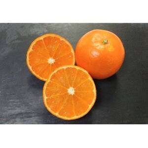 �y�󂠂�z������������s�Y�@�Z�����n���񂩂�5kg A8-6_�ʕ��E�t���[�c  ���k _�y�z���s�n��F�����z�y1473862�z