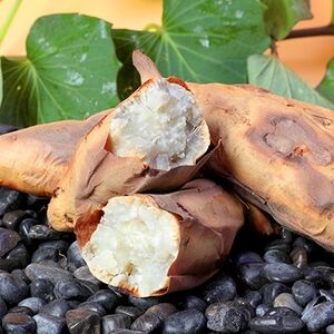 ܂ yzCgXC[gz6kg@2025N10{蔭 A8-93_ ܂  Tc}C F_yzsnFzy1167096z