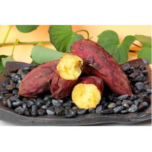 {ꎭ܂yVNXC[gz4kg@2025N10蔭Z0-13_ ܂  Tc}C F_yzsnFzy1487869z