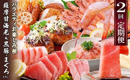 定期便2回配送 お楽しみバラエティ定期便(鹿児島県産黒豚・鮪etc) DD-6008_肉 ハンバーグ 牛肉 魚介・海産物 かまぼこ・練り製品 カマボコ 練物 練り物 ねりもの 肉 豚肉 ハンバーグ 豚肉 魚介・海産物 カツオ 鮮魚 かつお 鰹 ・ マグロ 鮮魚 まぐろ 鮪 _[配送不可地域:離島]