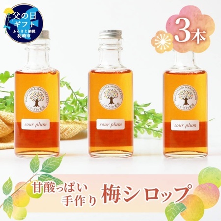 【父の日】ふかざわ農園の梅シロップ 手づくり シロップ ジュース 希釈用 A3-27F_飲料・ドリンク  果汁飲料 _【配送不可地域：離島】【1500170】