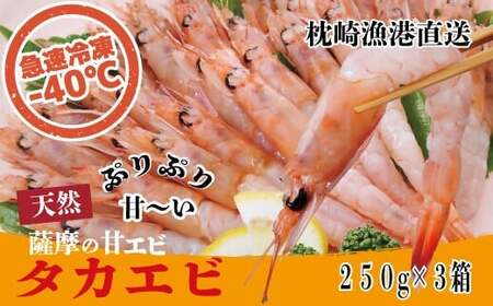 天然タカエビ250g×3箱 A1-1_魚介・海産物 甘エビ エビ あまえび 甘海老_[配送不可地域:離島]