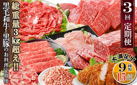 総重量3Kg越え、鹿児島県産黒毛和牛と黒豚のお料理定期便(3回配送) EE0-0002_肉 すき焼き 牛肉 すきやき スキヤキ 肉 焼肉 牛肉 やきにく ヤキニク バーベキュー 黒毛和牛 焼肉 豚肉 やきにく ヤキニク バーベキュー 豚肉 定期便 _[配送不可地域:離島]
