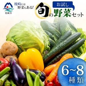 枕崎には野菜もある!!定番・旬のお試し野菜セット Z0-27_果物・フルーツ くだもの 野菜 _[配送不可地域:離島]