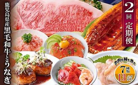 定期便2回配送 鹿児島県産黒毛和牛・うなぎ CC0-0001_肉 ハンバーグ 牛肉 肉 ステーキ 牛肉 ビーフステーキ 焼肉 やきにく ヤキニク バーベキュー 魚介・海産物 うなぎ ウナギ 鰻 黒毛和牛 ハンバーグ 豚肉 魚介・海産物 カツオ 鮮魚 かつお 鰹 ・ マグロ 鮮魚 まぐろ 鮪 定期便 _[配送不可地域:離島]