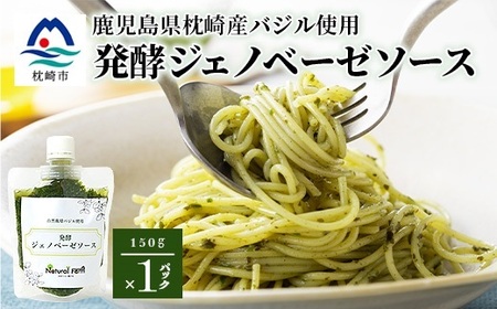 発酵ジェノベーゼソース(150g×1個)[鹿児島県枕崎産 バジル使用]Y0-38_調味料 _[配送不可地域:離島]