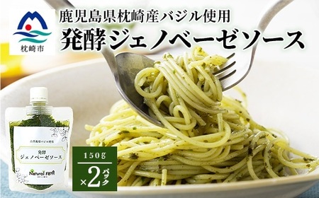 発酵ジェノベーゼソース(150g×2個)【鹿児島県枕崎産 バジル使用】A2-17_調味料   _【配送不可地域：離島】【1611632】