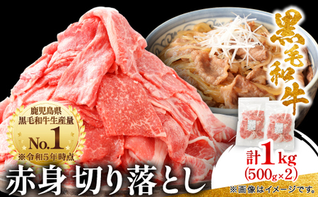 [鹿児島県産]黒毛和牛 赤身 切り落とし 1kg (500g×2)(枕崎市) A8-111_肉 黒毛和牛 牛肉 _[配送不可地域:離島]