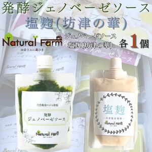 発酵ジェノベーゼソース&塩麹 各1パックセット A1-7_調味料 _[配送不可地域:離島]