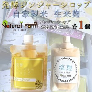 発酵ジンジャーシロップ&塩麹 各1パックセット A2-20_調味料 _[配送不可地域:離島]