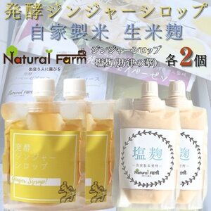 発酵ジンジャーシロップ&塩麹 各2パックセット B1-4_調味料 _[配送不可地域:離島]