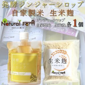 発酵ジンジャーシロップ&生米麹 各1パックセット A1-9_ 穀物加工品 調味料 _[配送不可地域:離島]
