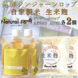 発酵ジンジャーシロップ&生米麹 各2パックセット A7-18_調味料 穀物加工品 _[配送不可地域:離島]
