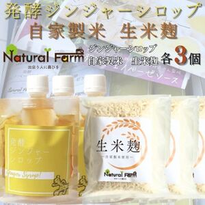 発酵ジンジャーシロップ&生米麹 各3パックセット B4-5_ 穀物加工品 調味料 _[配送不可地域:離島]