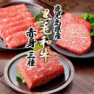 黒毛和牛赤身セット C0-73[配送不可地域:離島]
