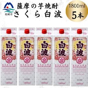 【さくら白波】1800ml×5パックセット　C1-7【配送不可地域：離島】【1641565】