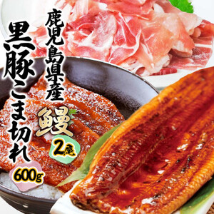 鹿児島W名物!鰻360g(2尾)×黒豚小間切れ600g(120g×5P) 人気セット B3-110[配送不可地域:離島]