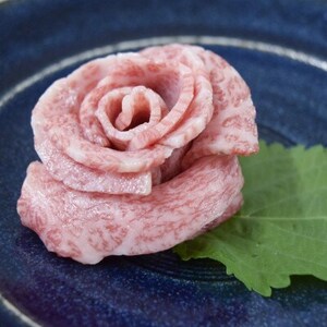Ƃ낯鐶̔!A5Yјah2퐷300g(s) B2-13yzsnFzy1650527z