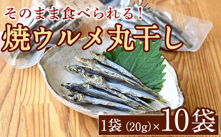 焼ウルメ丸干し10袋セット(20g×10袋)海産物 いわし 鰯 ウルメイワシ おつまみ おかず[下園薩男商店]akn086-07