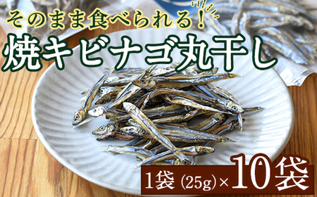 焼キビナゴ丸干し10袋セット(25g×10袋)海産物 きびなご おつまみ おかず[下園薩男商店]akn086-08