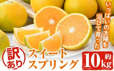 [先行予約受付中!2025年12月中旬以降順次発送予定]訳ありスイートスプリング(約10kg) 鹿児島県 阿久根市 フルーツ 果物 デザート 柑橘 甘味 果肉 果汁[松永青果]akn053-11